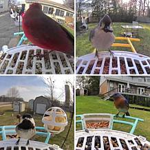Birdfy Birdfy Guard Rust Resistant Seed Guard