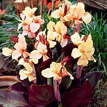 Cannas Angel Martin Set of 5 Bulbs