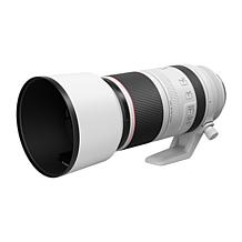Canon RF 100-500mm f/4.5-7.1L IS USM Lens