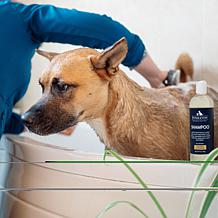 Carolina Pet Pendleton Lavender Scented Dog Shampoo
