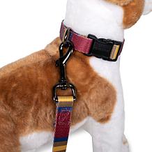 Carolina Pet Pendleton Zion National Park Adventure Leash