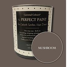 Caromal Colours Perfect Paint - 1 Gallon