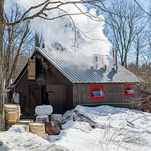 Cary & Main Organic Vermont Maple Syrup 2-pack - Auto-Ship®