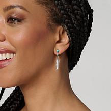 Chaco Canyon Sleeping Beauty Turquoise Feather Earrings