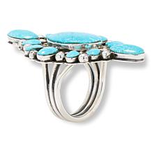 Chaco Canyon Sterling Silver Campitos Turquoise Elongated Cluster Ring