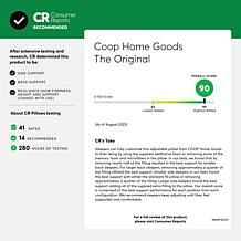 Coop Sleep Goods The Original Adjustable King Pillow