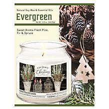 Courtside Market Merry Christmas Cardinals Wax Candle with Brushed Lid