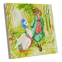 Craft Buddy Crystal Art Peter Rabbit Characters 2pk Canvas Kit