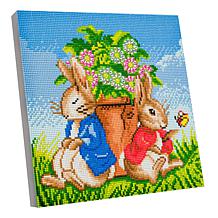 Craft Buddy Crystal Art Peter Rabbit Family and Flower Pot 2pk Canv...