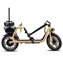 DeLorean 450W 36V Folding Seated E-Scooter w/Backrest & Accessories