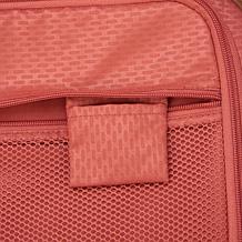 Delsey Paris Chatelet Air 2.0 Hardshell Carry-On Spinner Luggage