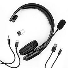 Delton 20x Professional Wireless Computer Headset