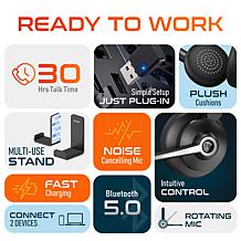 Delton 30X Wireless Computer Headset