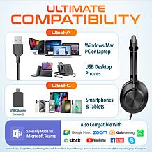 Delton 30Y Wired Mono Computer Headset with Dual Noise Canceling Mics