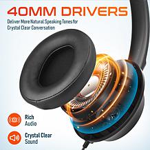 Delton 42Y Noise Canceling Binaural Computer Headset with Microphone
