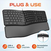 Delton KB250 USB Ergonomic Keyboard and Wrist Rest