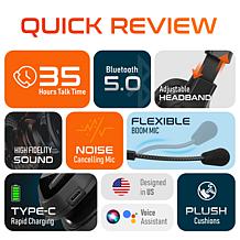 Delton Professional 20X Wireless Computer Headset with Mic