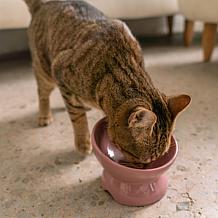 DexyPaws Elevated Ceramic Cat Bowl - Ash Blush 7oz