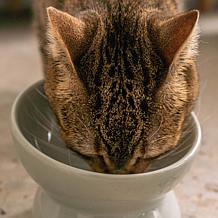 DexyPaws Elevated Ceramic Cat Bowl - Desert Green, 7oz