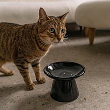 DexyPaws Flat Top Ceramic Cat Bowl - Black