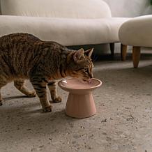 DexyPaws Flat Top Ceramic Cat Bowl - Blush Pink