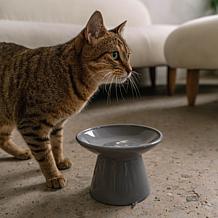 DexyPaws Flat Top Ceramic Cat Bowl - Grey