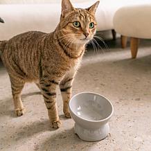 DexyPaws Iridescent Elevated Ceramic Cat Bowl - Grey 7oz