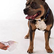 DexyPaws Lavender & Vitamin E Cleansing Wipes 200ct Canister