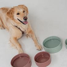 DexyPaws Sage Green Ceramic Dog Bowl 26oz