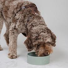 DexyPaws Sage Green Ceramic Dog Bowl 26oz