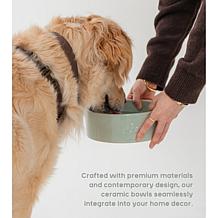DexyPaws Sage Green Ceramic Dog Bowl 26oz
