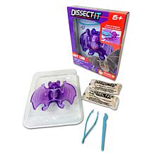 Dissect It Bat Lab  Synthetic Dissection Kit