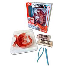 Dissect It Salamander Lab Synthetic Dissection Kit