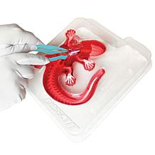 Dissect It Salamander Lab Synthetic Dissection Kit