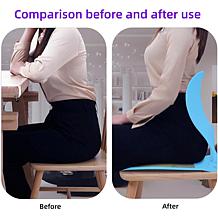 Doctor Pillow Posture Pro Lumbar Support