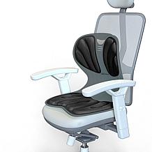 Doctor Pillow Posture Pro Lumbar Support