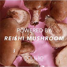 Doll 10 Supersize Reishi Radiance Foundation Set