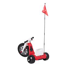 Droyd Romper Electric Trike