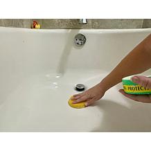 Earth Brite All-Purpose 600gm (21oz.) Cleaning Kit
