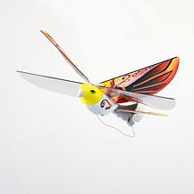 eBird Orange Phoenix - x2 Channel RC Flying Bird