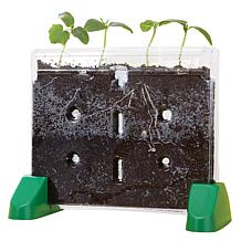 Educational Insights Sprout and Grow Window