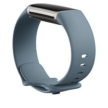 Fitbit Charge 5 Fitness & Wellness Smart Wearable