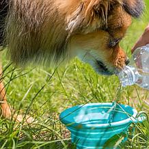 FouFouDog Silicone Travel Bowl for Dogs & Cats X-Small 7oz - Teal
