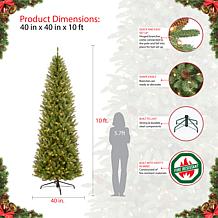 Franklin Fir Pencil 10' Artificial Christmas Tree with Clear Lights