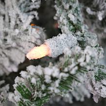 Fraser Hill Farm 10' Flocked Pine Christmas Tree with Smart Lighting