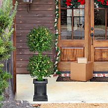 Fraser Hill Farm 3-Ft. Boxwood 2-Ball Topiary with Black Pot and Wa...