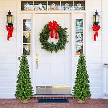 Fraser Hill Farm 3-Ft. Boxwood Porch Tree in Burlap Bag, Set of 2