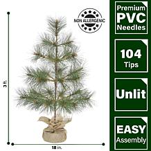 Fraser Hill Farm 3-ft. Farmhouse Fir Christmas Tree with Burlap Bag...