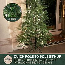 Fraser Hill Farm 4-Ft. Alpine Cedar Pre-Lit Artificial Christmas Tr...