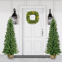 Fraser Hill Farm 4-Ft. Boxwood Porch Tree in Burlap Bag, Set of 2